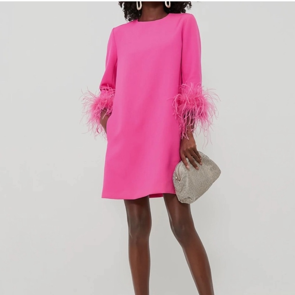 Tuckernuck Mod Mary Dress Hot Pink Feather Size Small - Picture 2 of 7